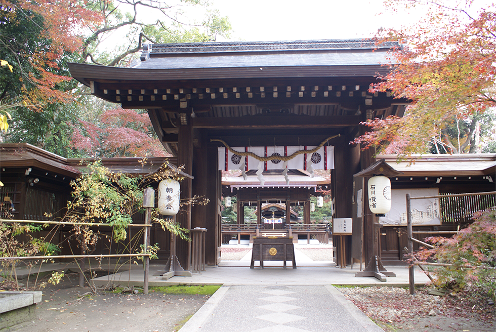 梨の木神社社殿改修